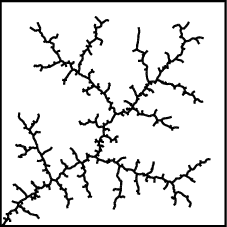 an RRT after 1000 iterations