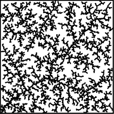 an RRT after 5000 iterations