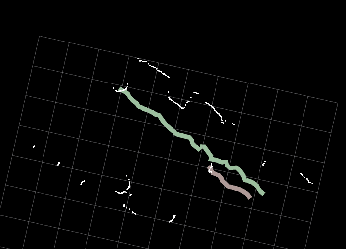 an example of people tracked in rviz